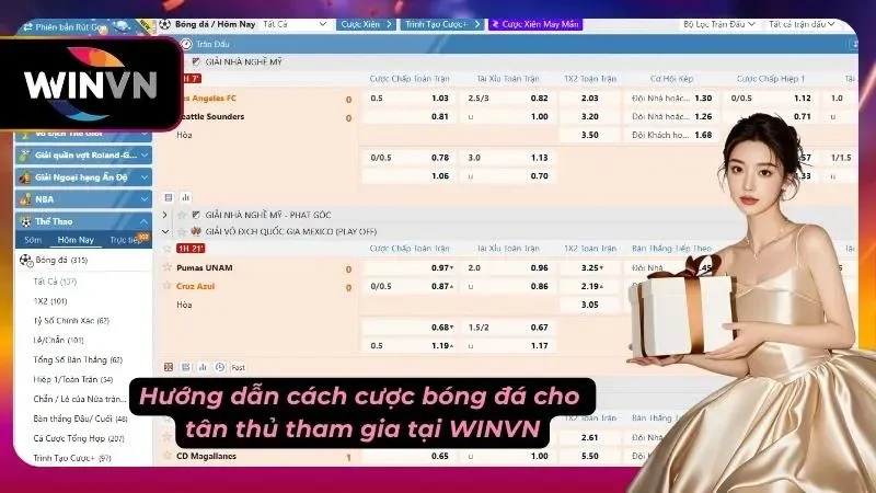 Cẩm nang bí kíp hướng dẫn