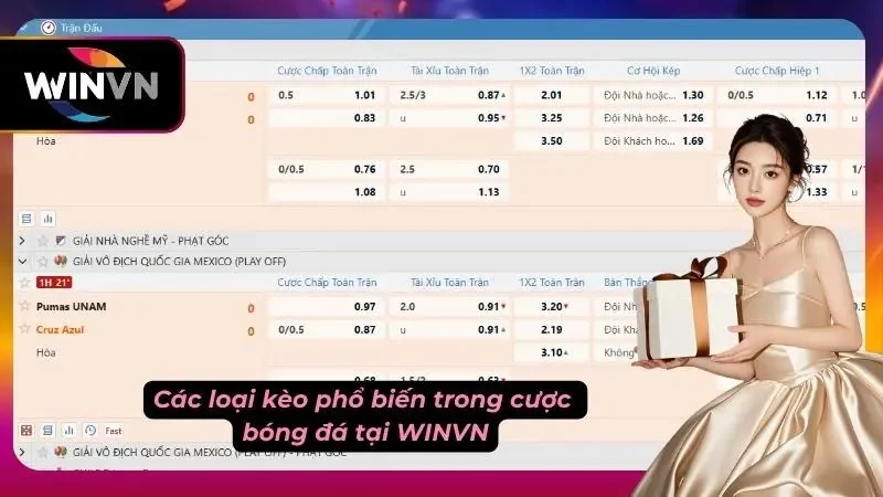 Sơ lược các loại hình thức phổ biến