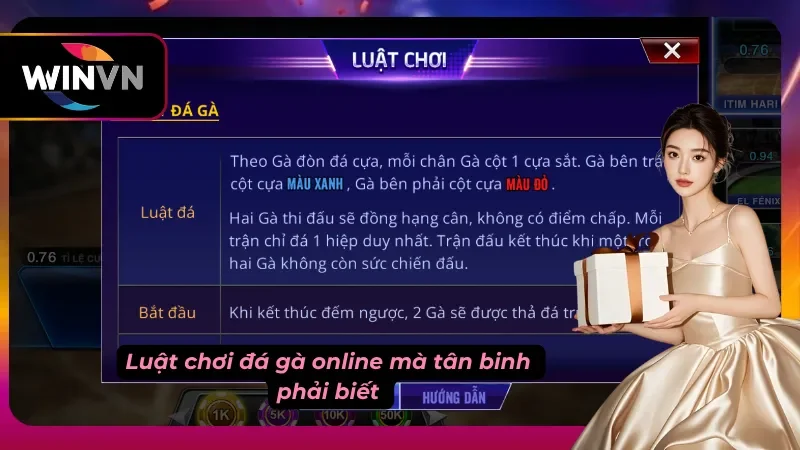 Người chơi tham gia vòng cược đá gà trên màn hình