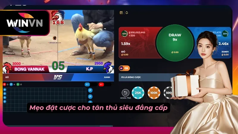 Người chơi quan sát chiến kê thông qua livestream