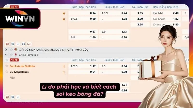 Lý do phải biết cách soi kèo tại nhà cái