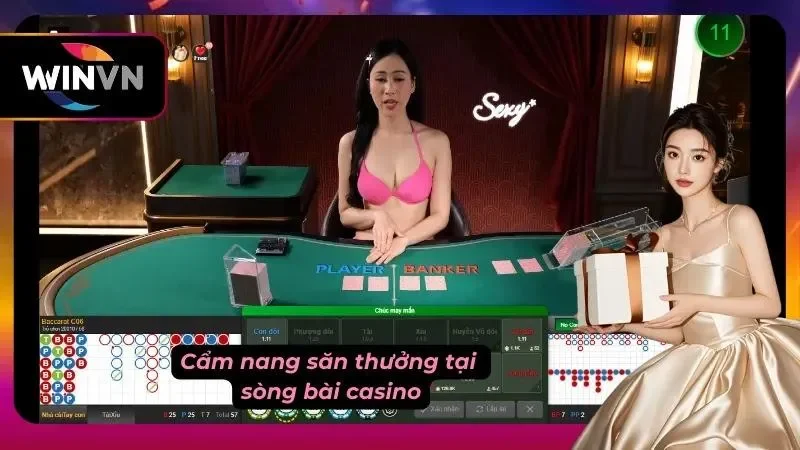 Kinh nghiệm săn bonus cực hay dành cho người chơi casino