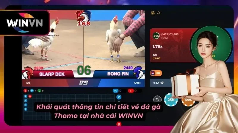 Thông tin cơ bản về đá gà Thomo đầy kịch tính