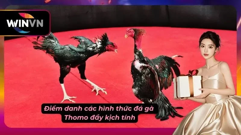 Tổng hợp hình thức cược trong đá gà Thomo