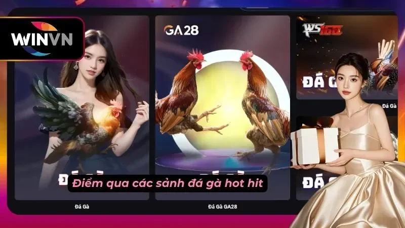 Một vài sảnh đá gà uy tín