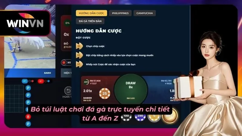 Luật chơi đá gà online dễ hiểu