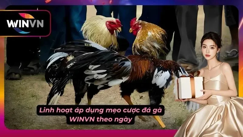 Cập nhật chiến thuật theo kinh nghiệm tay chơi lâu năm, tránh áp dụng bài cũ rích